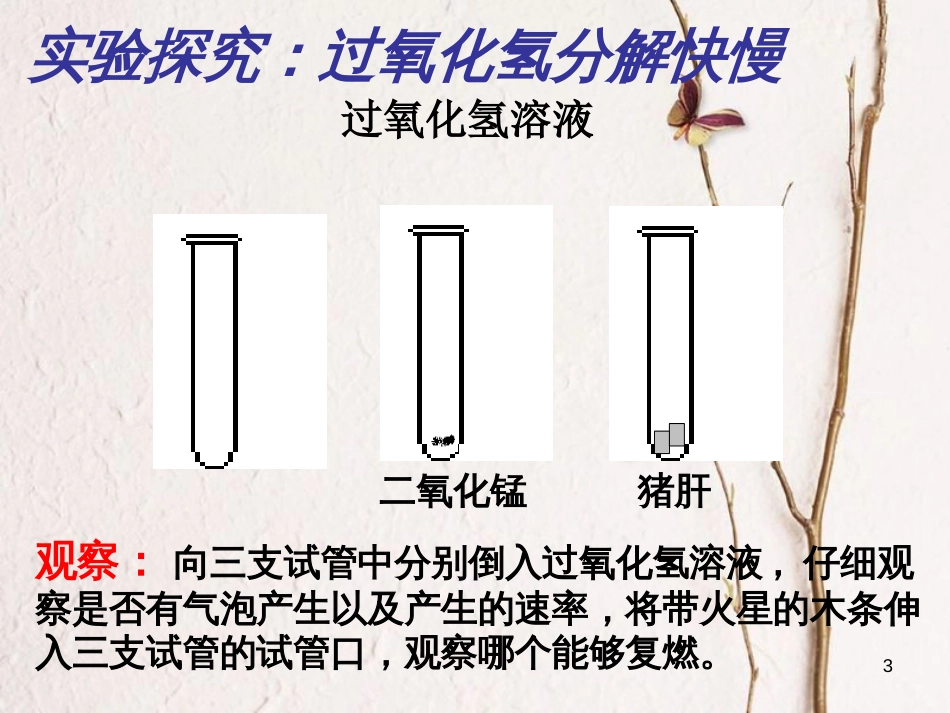 九年级科学上册 1.3 用分解反应制取氧气课件2 （新版）华东师大版[共16页]_第3页