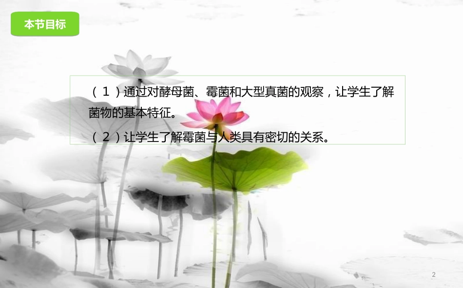 八年级生物下册 13.5 真菌课件 北京课改版[共23页]_第2页