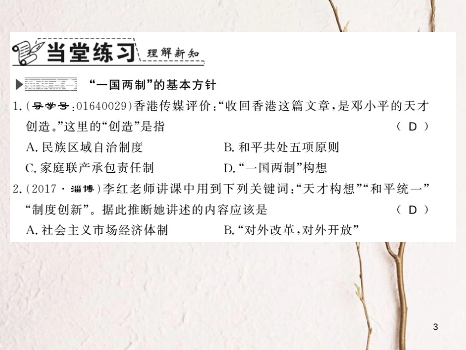 八年级历史下册 第四单元 建设中国特色社会主义道路的开拓 第十六课 一国两制与香港 澳门回归祖国课件 岳麓版_第3页