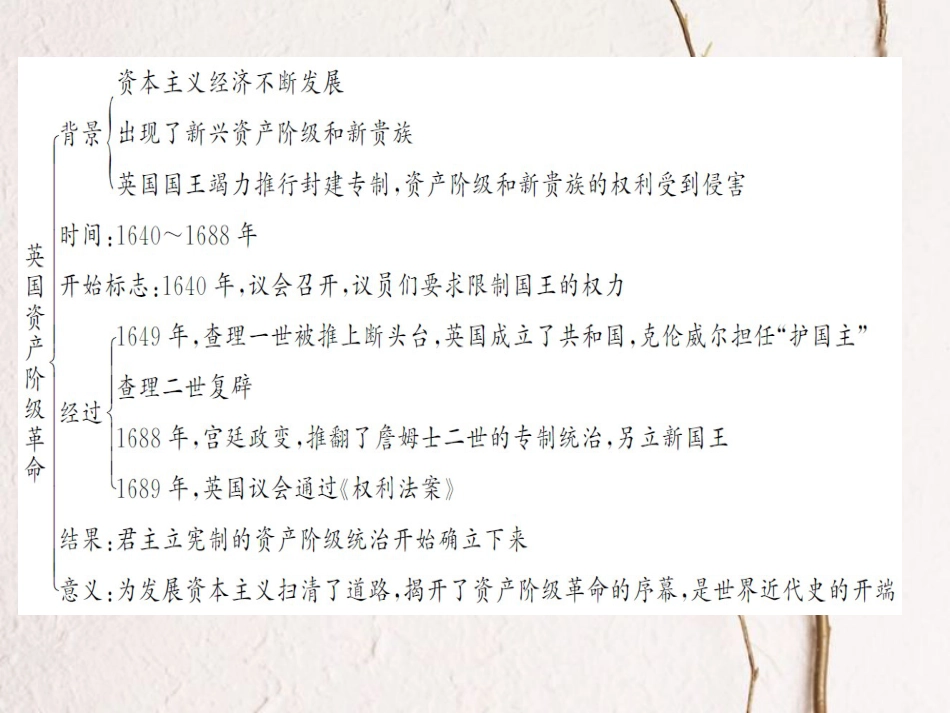 九年级历史上册 第四单元 第11课 英国资产阶级革命课件 新人教版_第3页