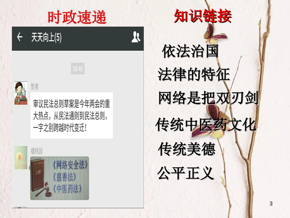 河南省洛阳市中考政治 推进依法治国 建设法治国家复习课件_第3页