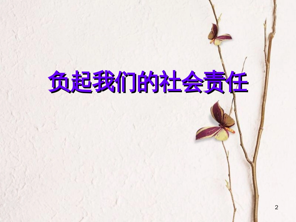 八年级政治下册 第八单元 我们的社会责任 8.4 负起我们的社会责任课件 粤教版_第2页