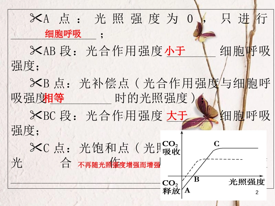 陕西省西安市高考生物 细胞代谢专题 第四部分 影响光合作用的因素复习课件[共25页]_第2页