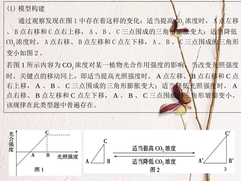 陕西省西安市高考生物 细胞代谢专题 第四部分 影响光合作用的因素复习课件[共25页]_第3页