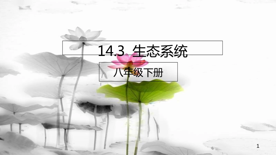 八年级生物下册 14.3 生态系统课件 北京课改版[共25页]_第1页