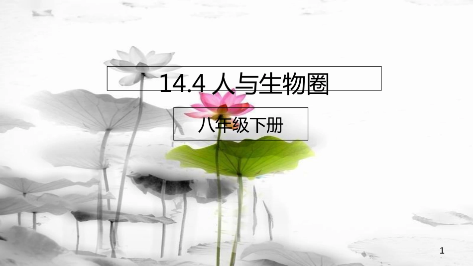 八年级生物下册 14.4 人与生物圈课件 北京课改版[共25页]_第1页