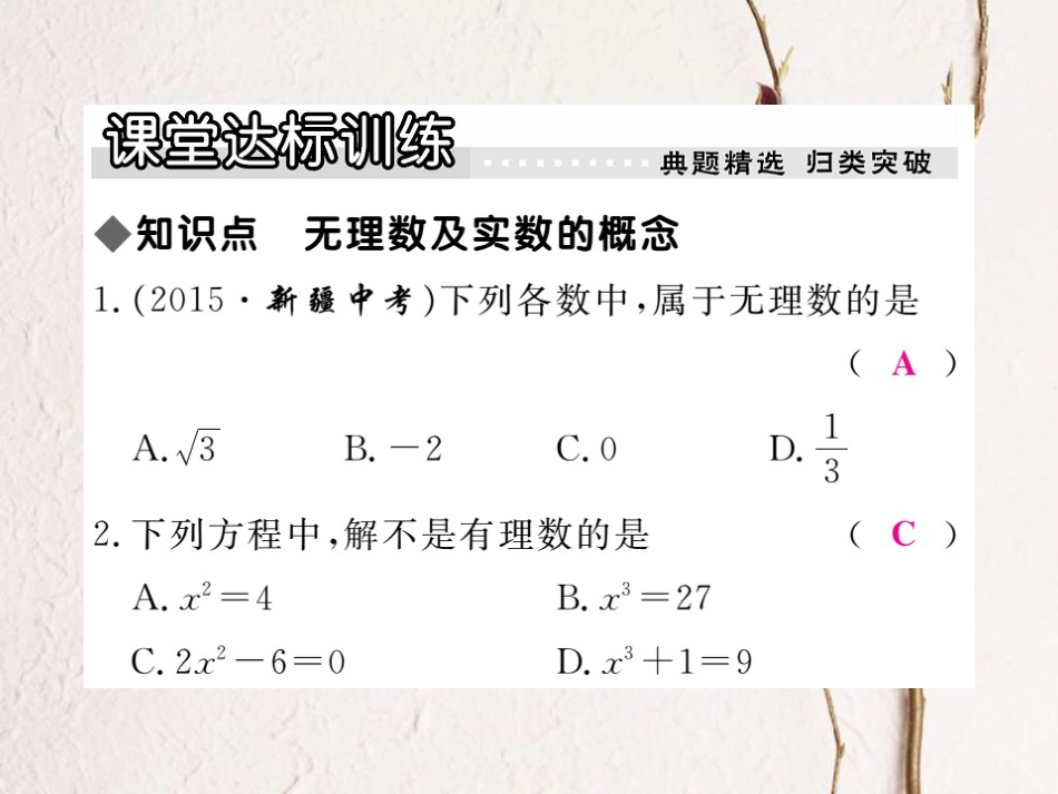 八年级数学上册 14.3 第1课时 无理数及实数的概念习题课件 （新版）冀教版_第3页