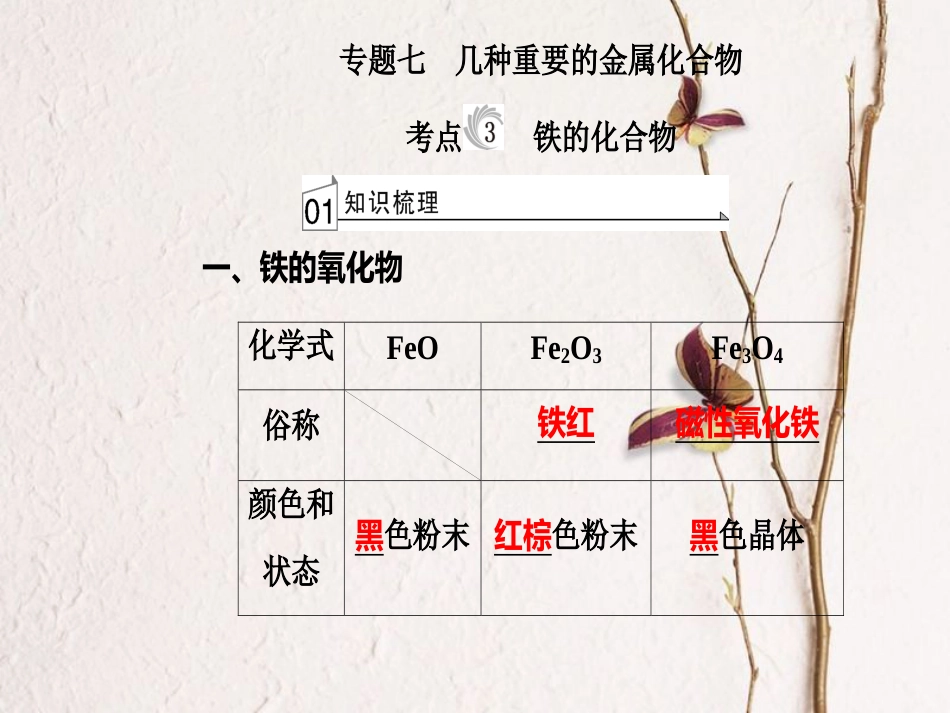 高三化学 第三章 专题七 几种重要的金属化合物 考点3 铁的化合物课件[共31页]_第2页