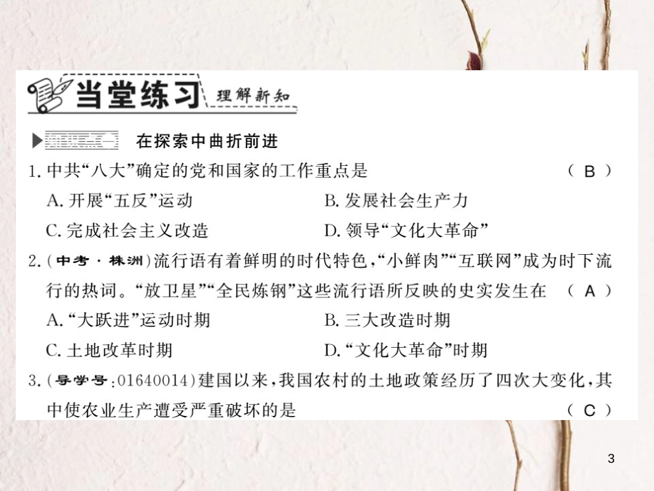 八年级历史下册 第三单元 艰辛探索与建设成就 第八课 全面建设社会主义的艰辛探索课件 岳麓版_第3页