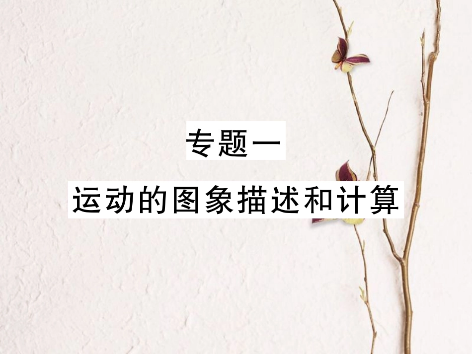 八年级物理上册 专题一 运动的图像描述与计算习题课件 （新版）新人教版[共19页]_第1页