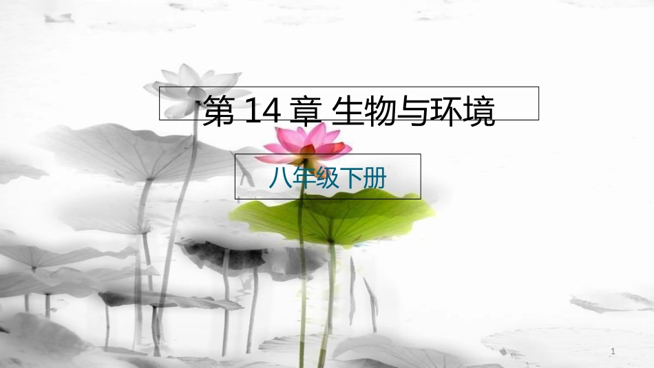 八年级生物下册 第14章 生物与环境课件 北京课改版[共23页]_第1页