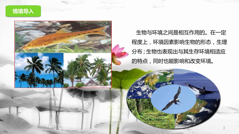 八年级生物下册 第14章 生物与环境课件 北京课改版[共23页]_第3页