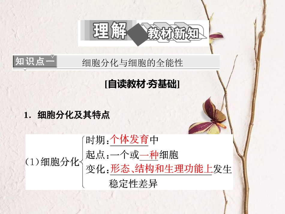 高中生物 第6章 细胞的生命历程 第2节 细胞的分化 第3节 细胞的衰老和凋亡 第4节 细胞的癌变课件 新人教版必修1_第2页