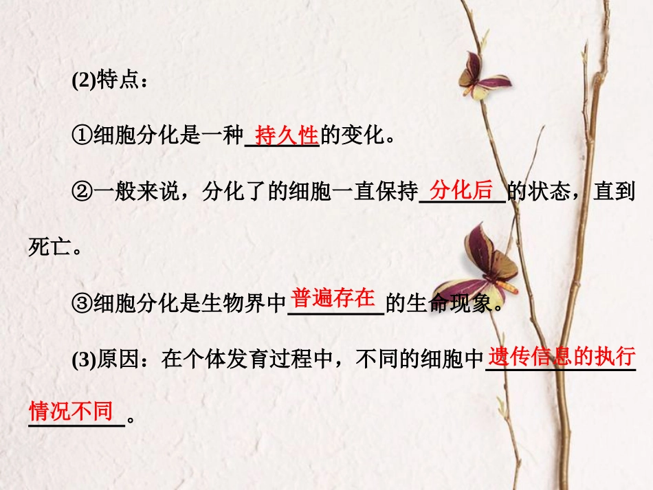 高中生物 第6章 细胞的生命历程 第2节 细胞的分化 第3节 细胞的衰老和凋亡 第4节 细胞的癌变课件 新人教版必修1_第3页