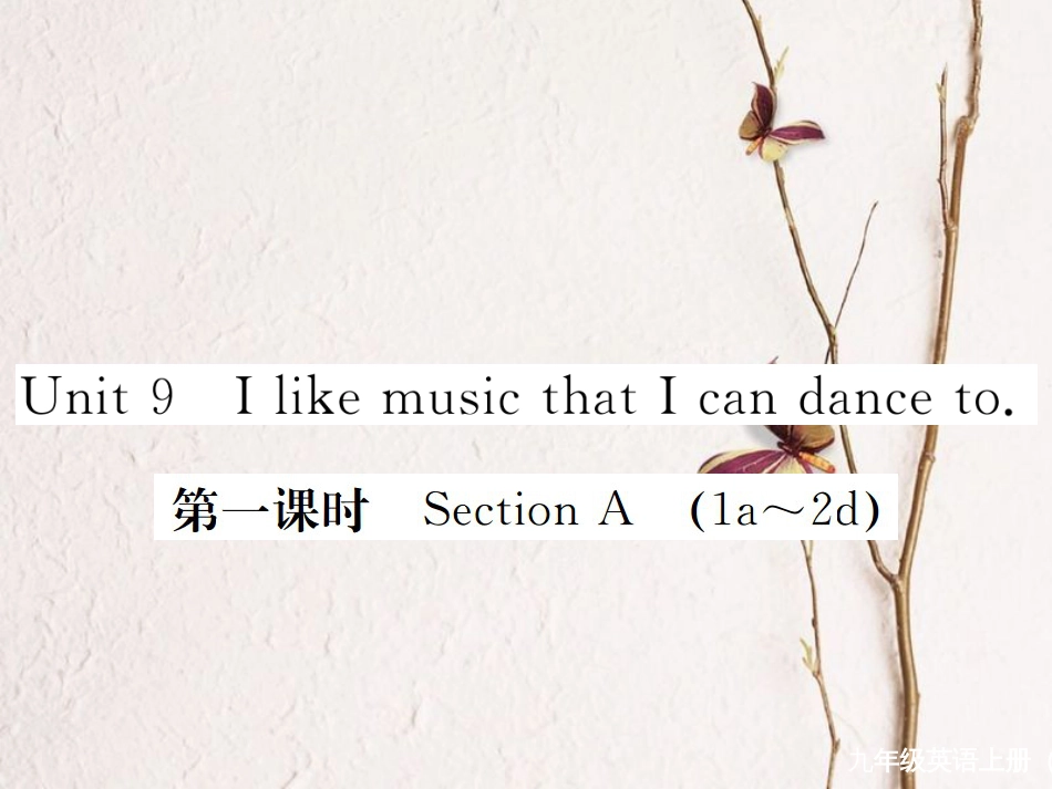 （河北专）九年级英语全册 Unit 9 I like music that I can dance to（第1课时）习题课件 （新）人教新目标版_第1页