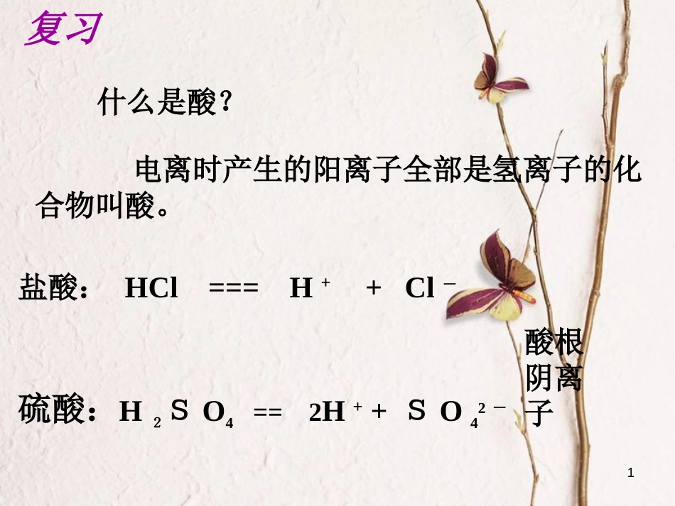 九年级科学上册 2.2 重要的酸（二）课件 （新版）华东师大版[共29页]_第1页