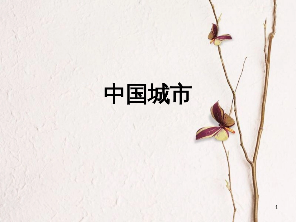 辽宁省抚顺市第一中学学年高一地理 世界地理 16中国城市课件_第1页