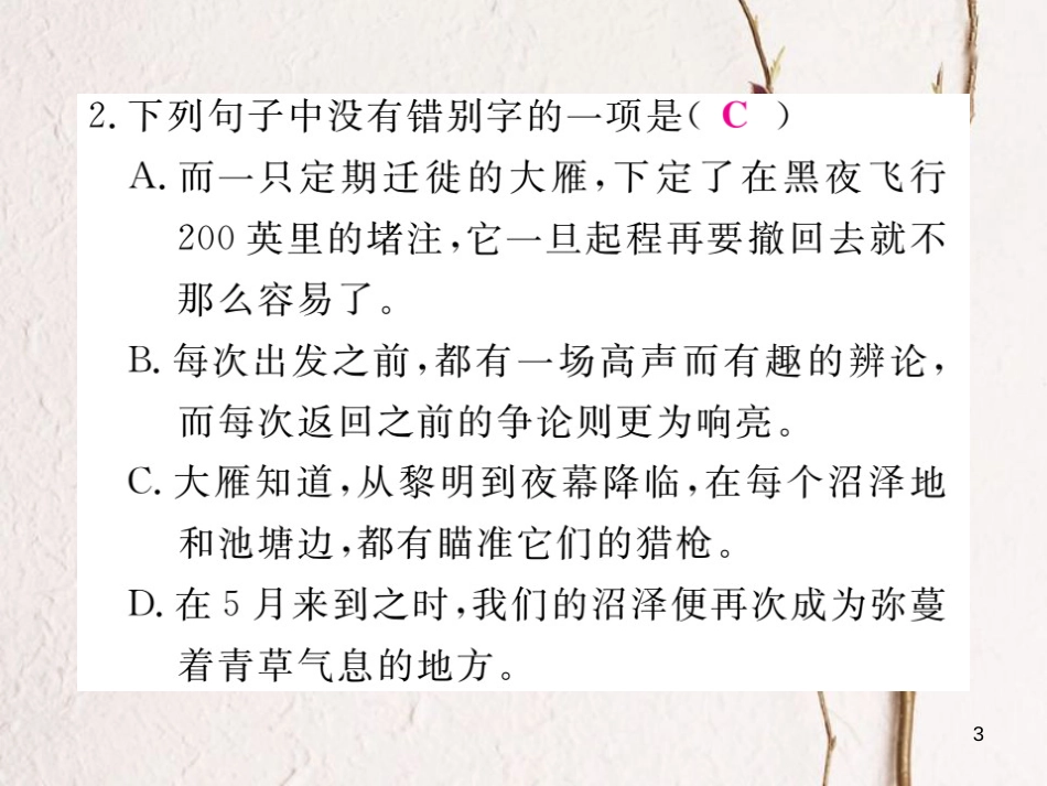 八年级语文下册 第二单元 7 大雁归来习题课件 新人教版_第3页