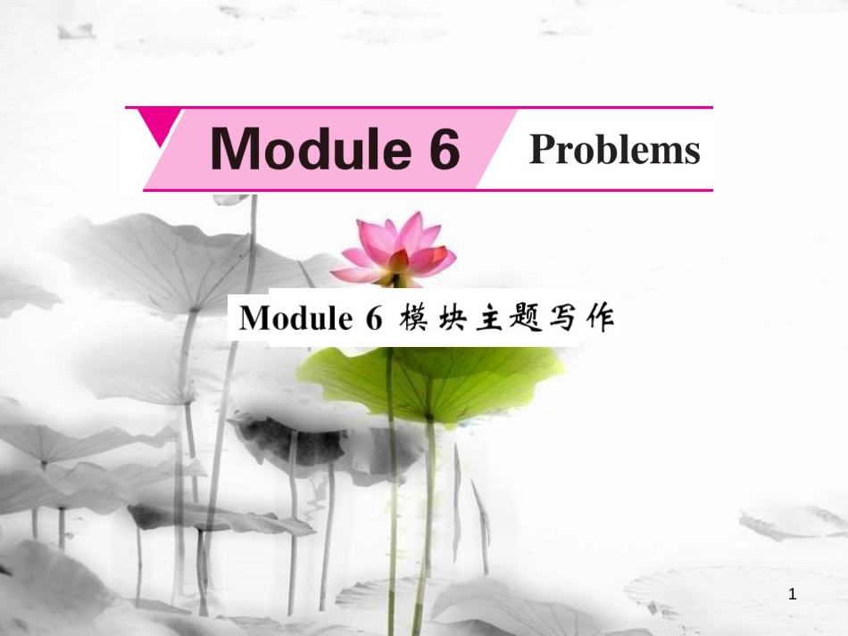 hcpAAA九年级英语上册 Module 6 Problems主题写作课件 （新版）外研版_第1页