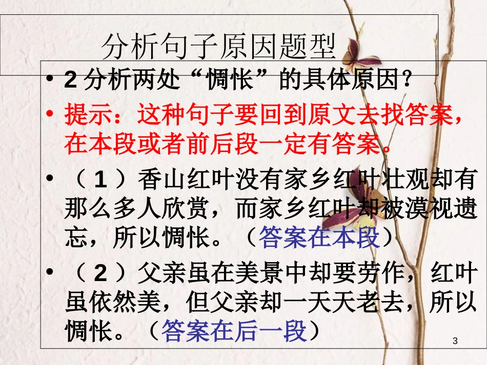 广东省中考语文《故乡红叶》专项复习课件_第3页