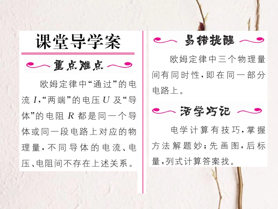 （黔西南地区）九年级物理全册 第17章 欧姆定律 第2节 欧姆定律习题课件 （新）新人教_第2页