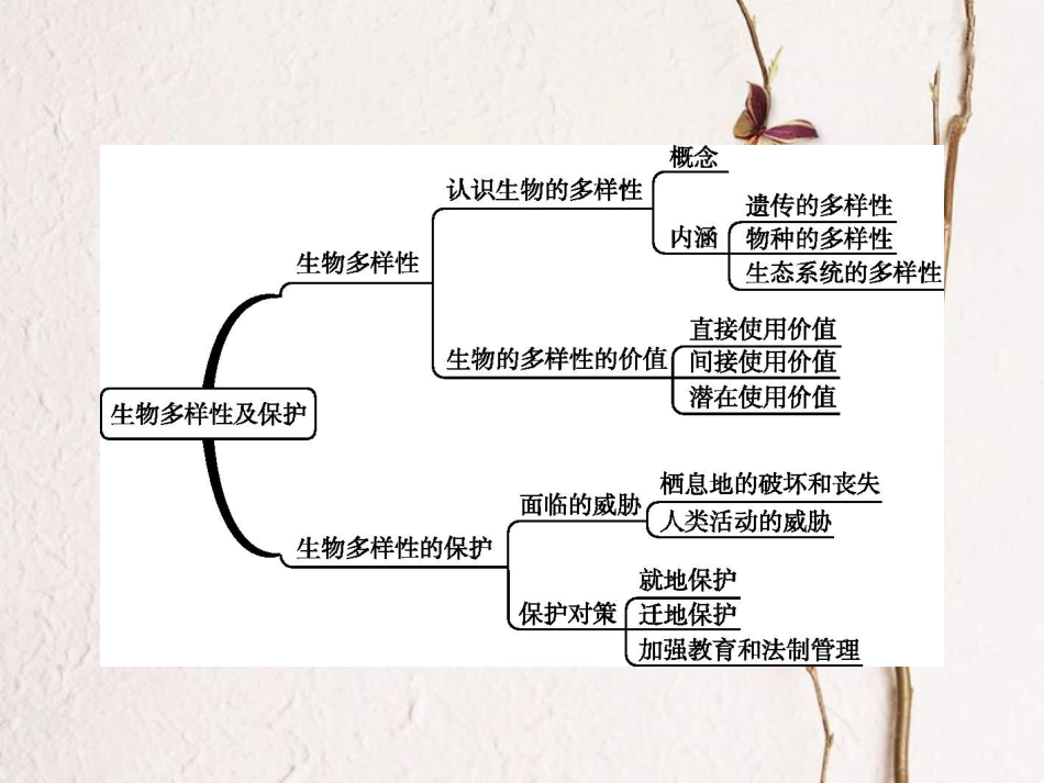 八年级生物下册 6.3.1 生物多样性课件 （新版）济南版_第2页