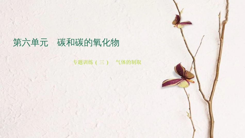 九年级化学上册 第六单元 碳和碳的氧化物 专题训练（三）常见气体的制取课件 （新版）新人教版_第1页