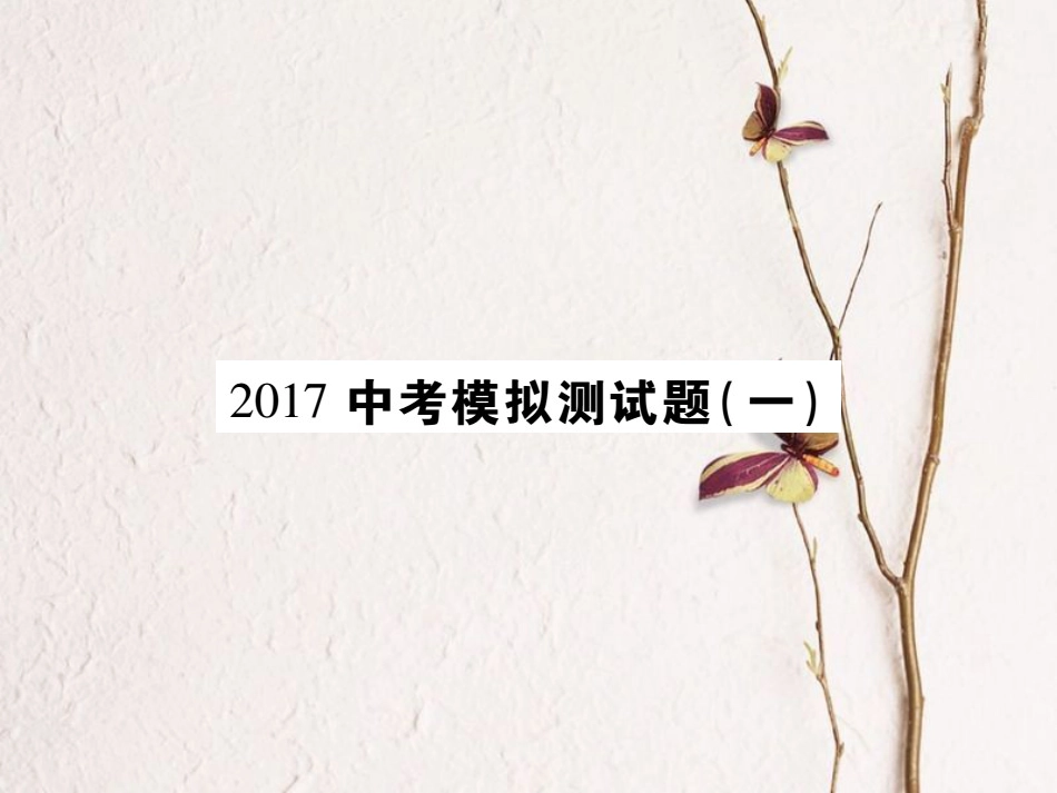 中考数学总复习 模拟测试题（一）课件[共70页]_第1页