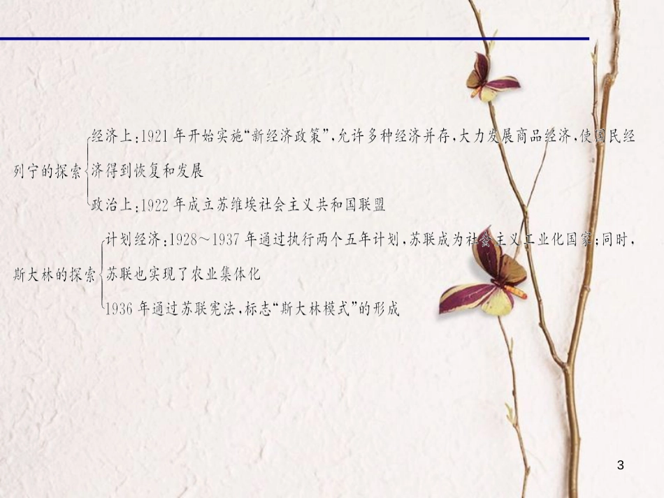 九年级历史下册 第一单元 第2课 对社会主义道路的探索习题课件 新人教版[共25页]_第3页