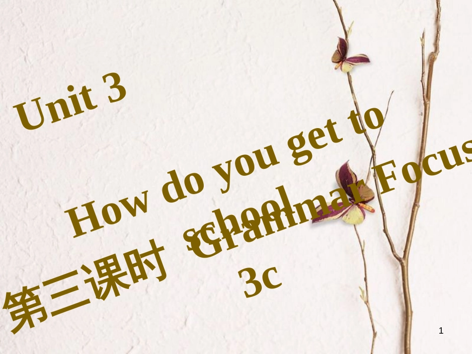 七年级英语下册 Unit 3 How do you get to school（第3课时）Grammar Focus-3c习题课件 （新版）人教新目标版_第1页