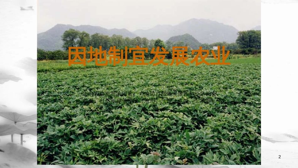 八年级地理上册 第四章 第一节 农业课件 （新版）湘教版[共53页]_第2页