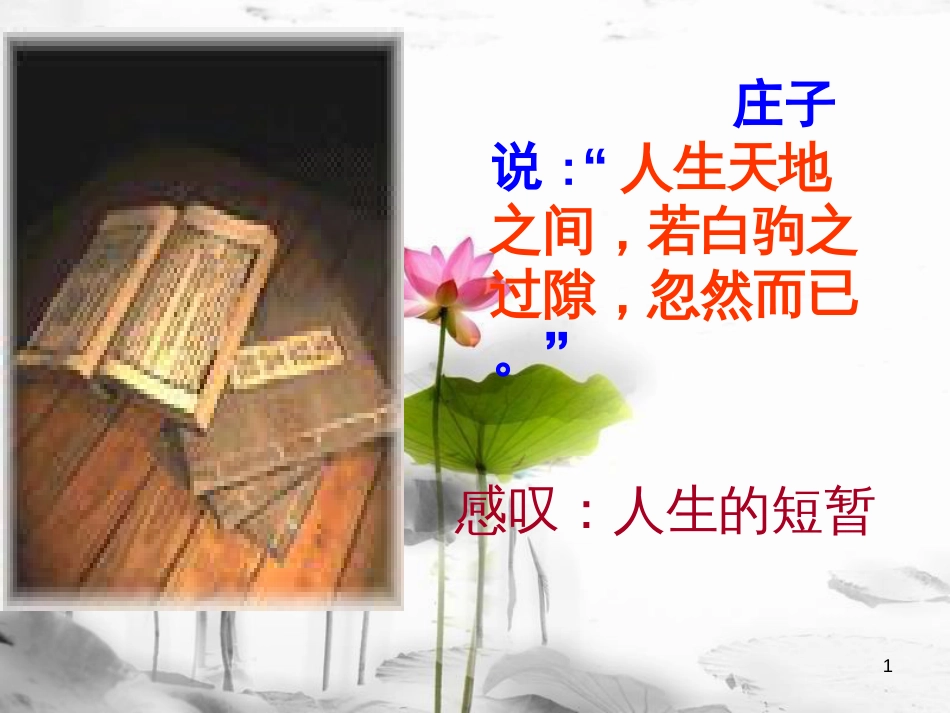 安徽省合肥市育英学校九年级语文下册 第三单元 第12课《人生》课件 新人教版_第1页