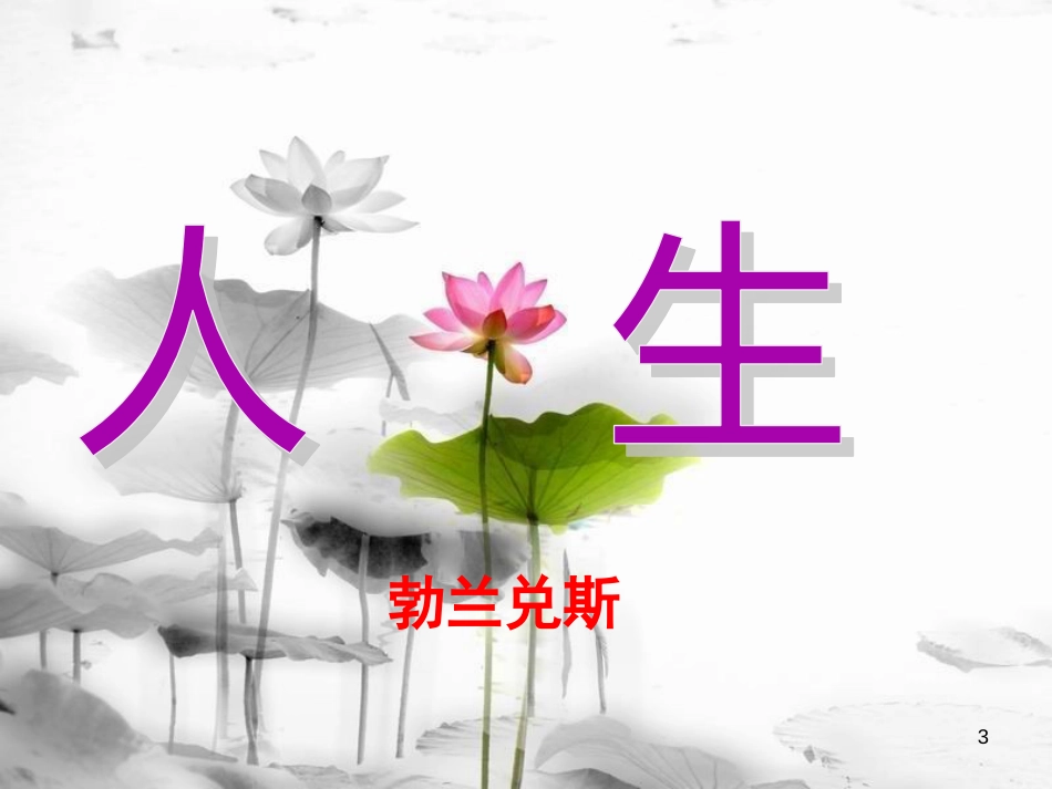 安徽省合肥市育英学校九年级语文下册 第三单元 第12课《人生》课件 新人教版_第3页