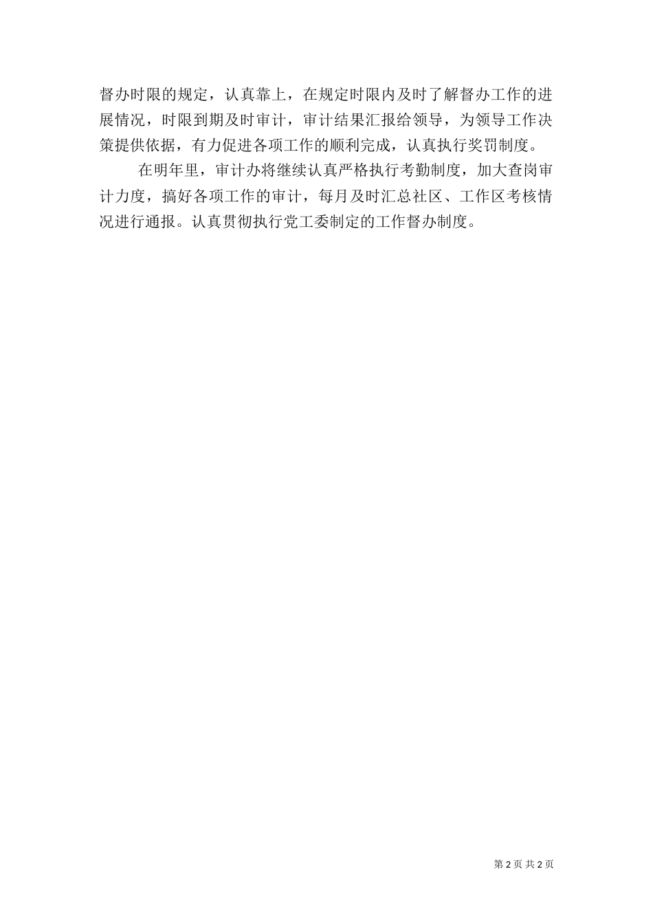 2023年审计办工作总结_第2页