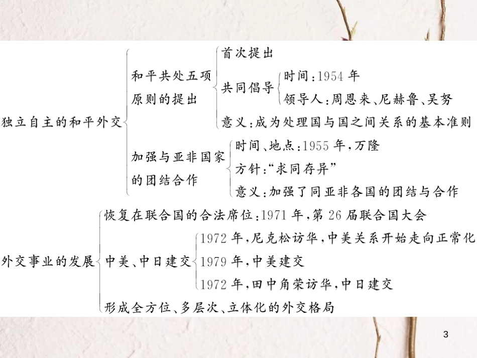 八年级历史下册 第五单元 国防建设与外交成就整理与复习课件 新人教版_第3页