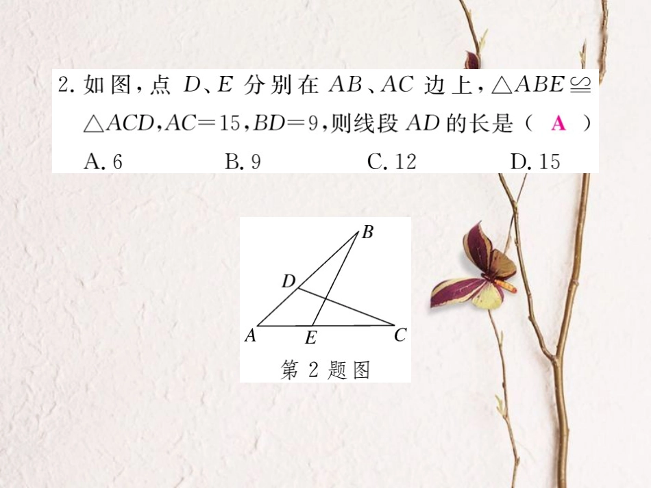 八年级数学上册 13 全等三角形综合滚动练习 命题与全等三角形的判定及性质课件 （新版）冀教版[共22页]_第3页