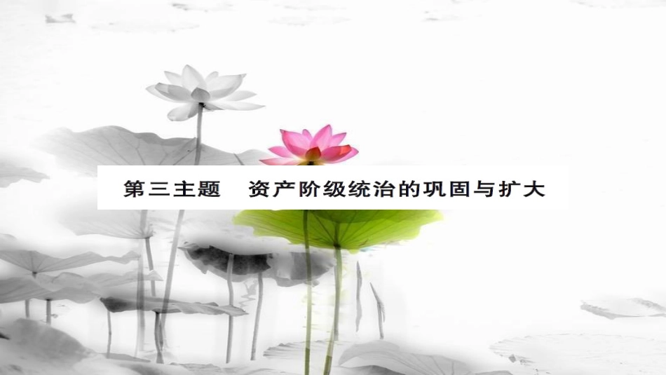 安徽省中考历史 基础知识夯实 模块五 世界近代史 第三主题 资产阶级统治的巩固与扩大讲义课件[共13页]_第1页