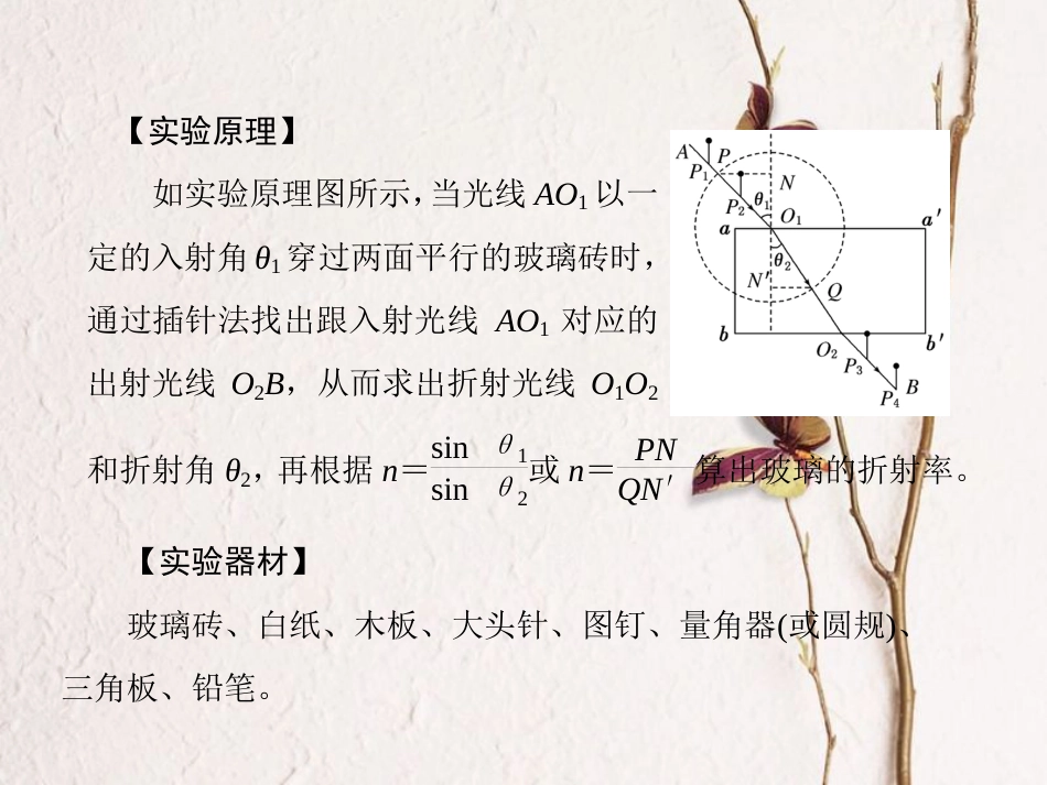 （新课标）高考物理一轮复习 第十二章 振动和波 光 相对论 实验十四 测定玻璃的折射率课件_第2页