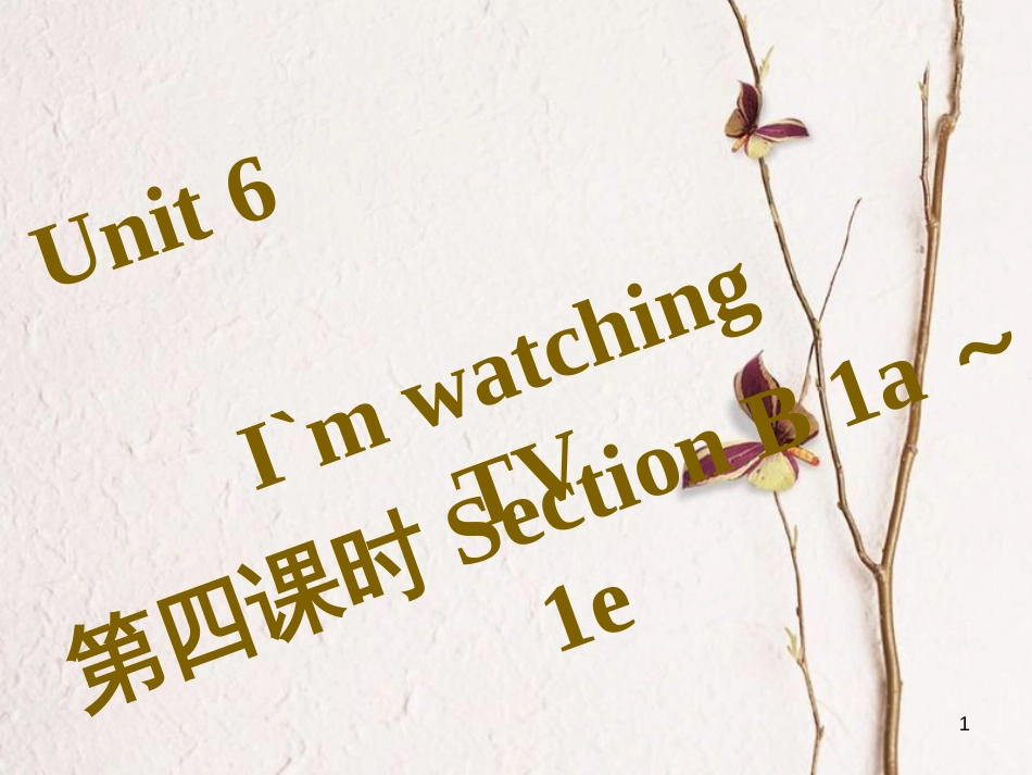 七年级英语下册 Unit 6 I’m watching TV（第4课时）Section B（1a-1e）习题课件 （新版）人教新目标版_第1页