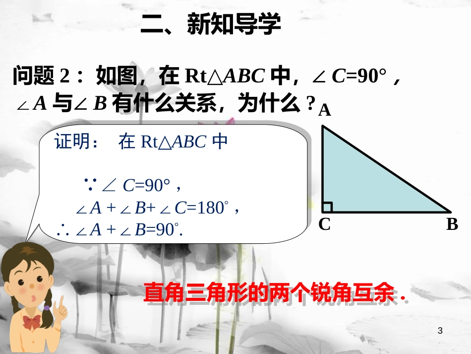 八年级数学下册 1.1 直角三角形的性质和判定（I）教学课件 （新版）湘教版_第3页