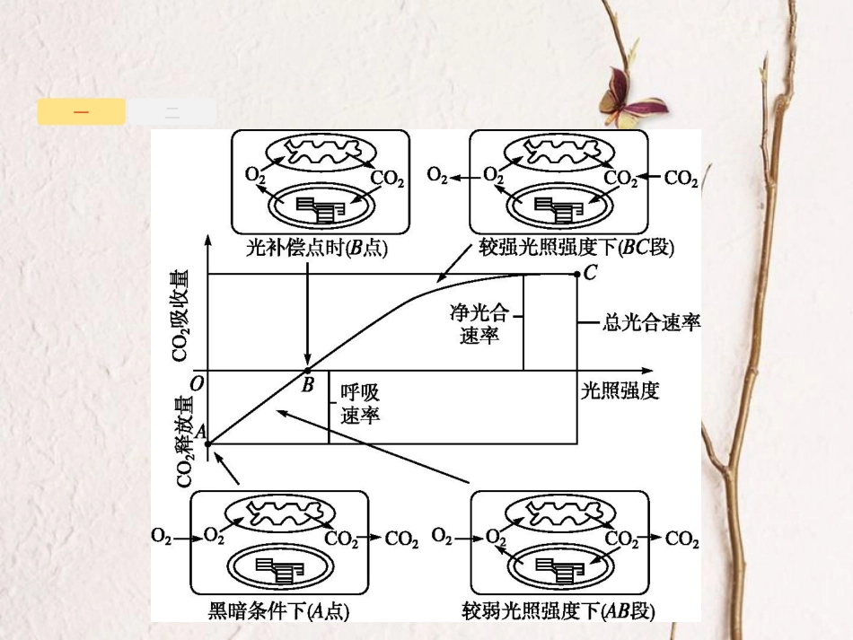 （新课标）高考生物一轮复习 高考提分微课2课件[共25页]_第3页