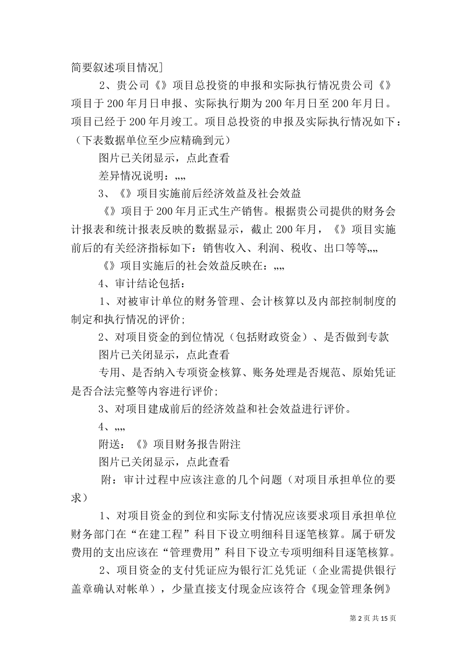 专项审计调查报告范本_第2页