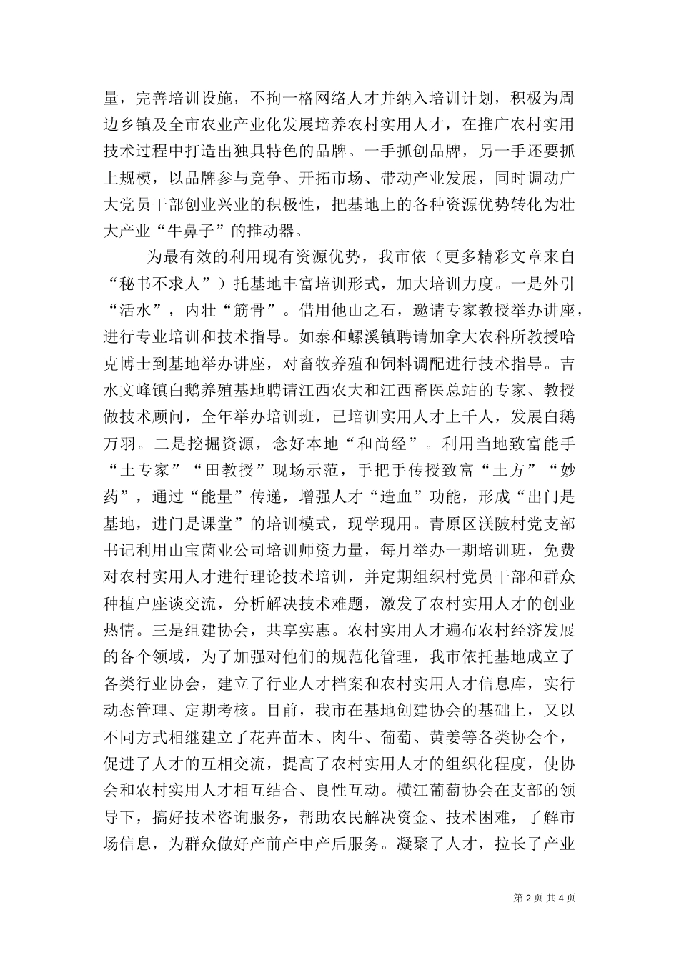 人才队伍建设总结（二）_第2页
