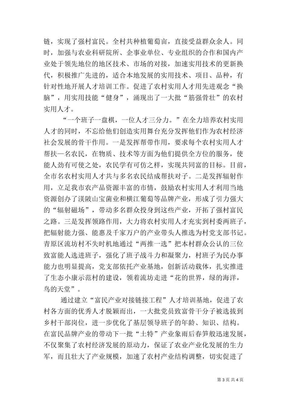 人才队伍建设总结（二）_第3页