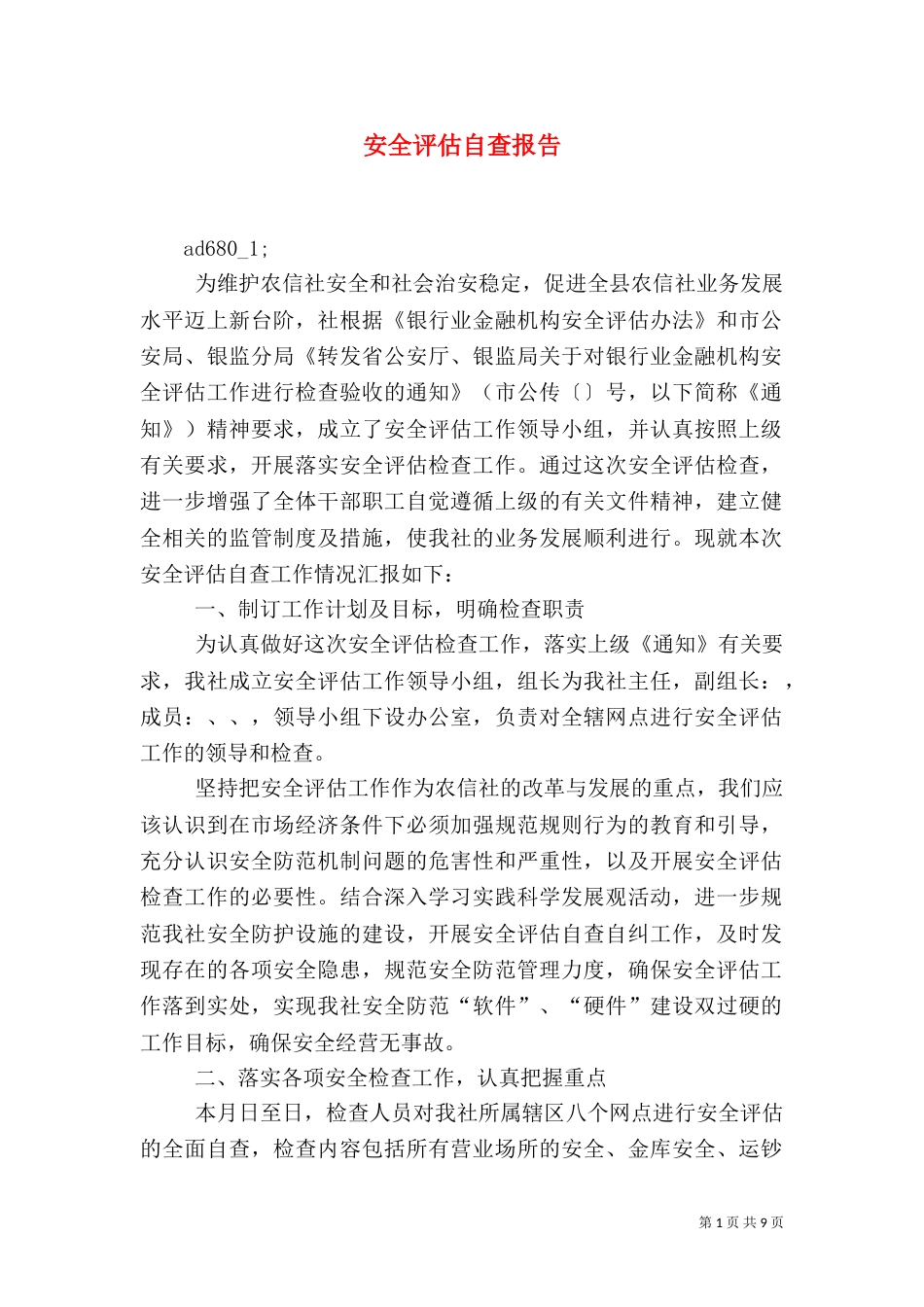 安全评估自查报告（一）_第1页