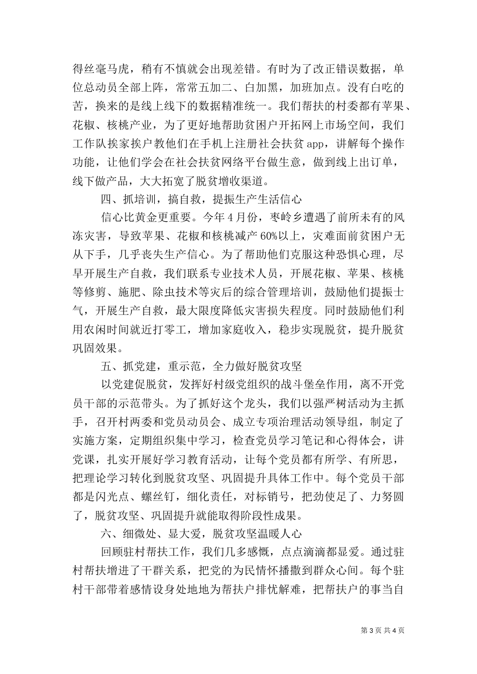 驻村工作队典型工作总结材料（一）_第3页