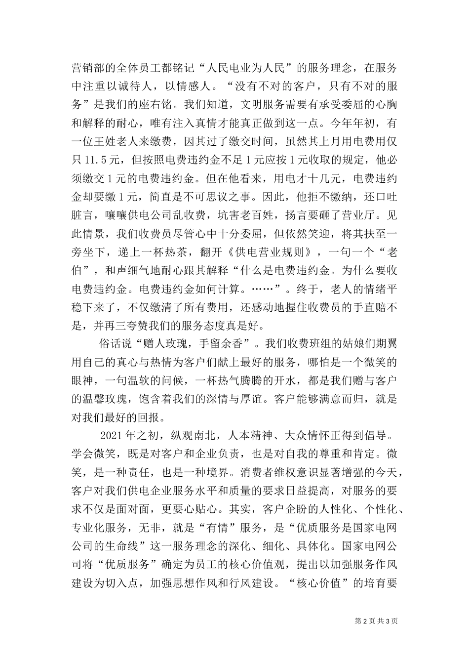 电力优质服务工作总结（五）_第2页