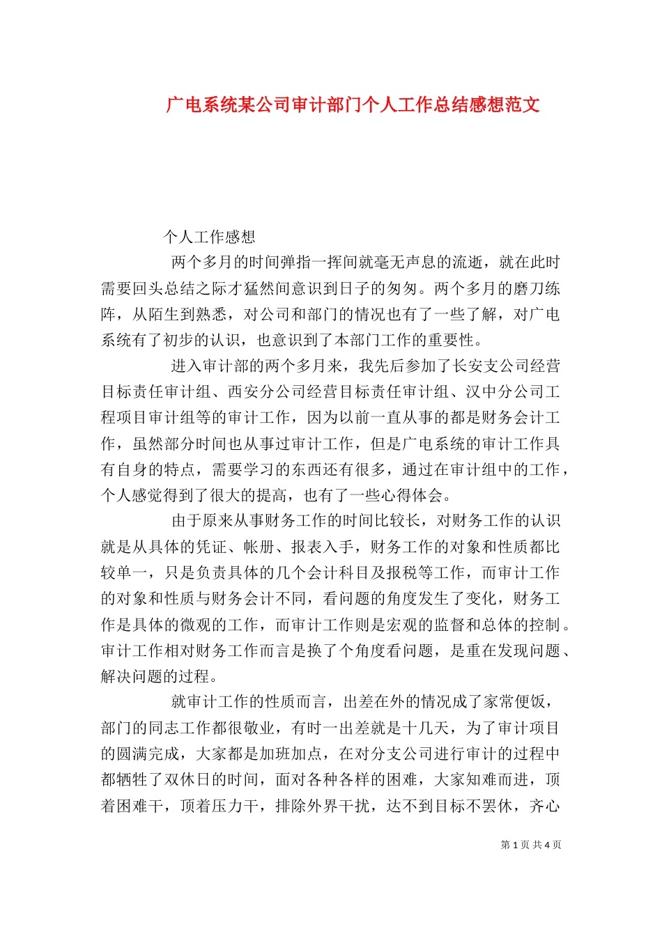 广电系统某公司审计部门个人工作总结感想范文_第1页