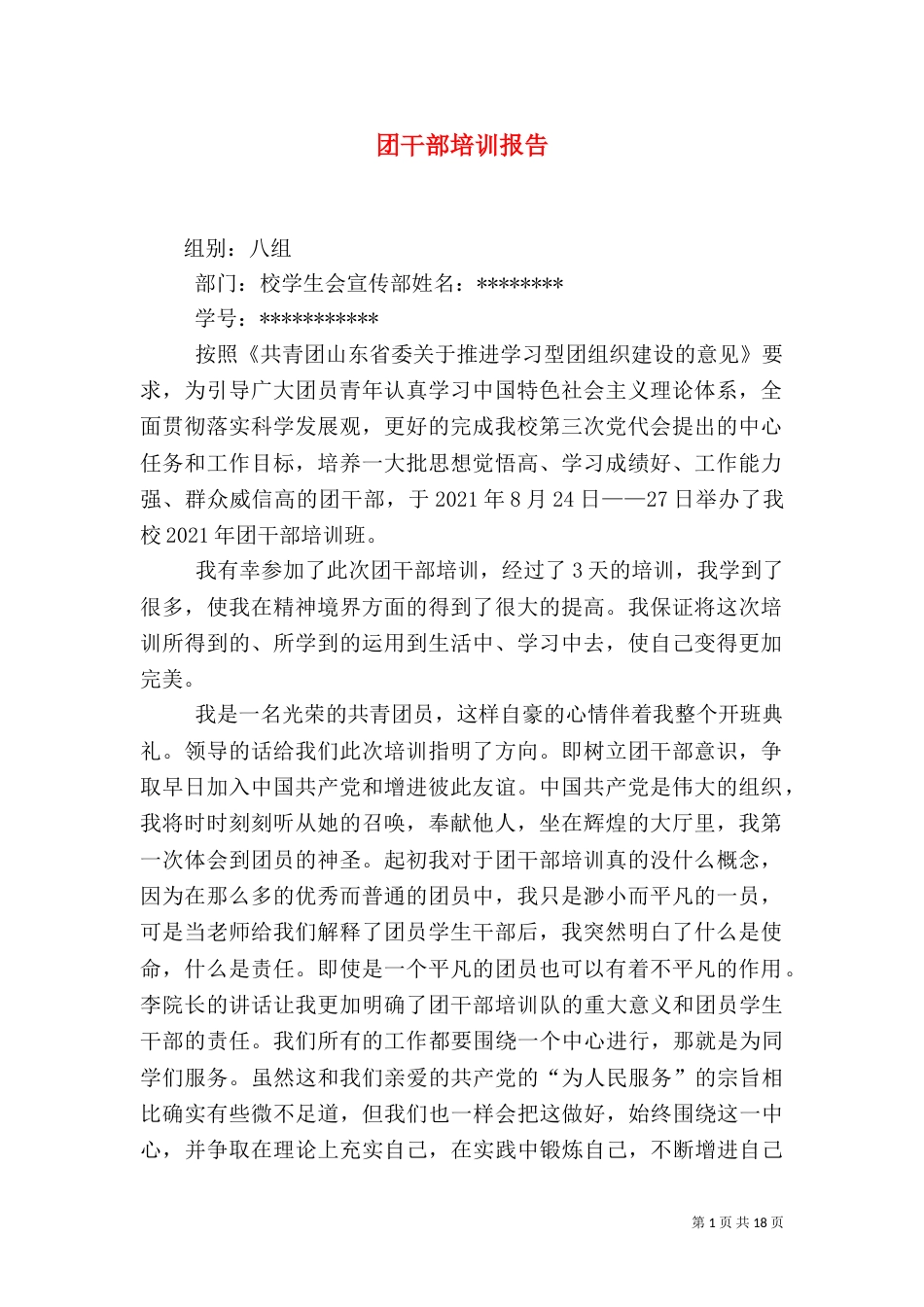 团干部培训报告（一）_第1页
