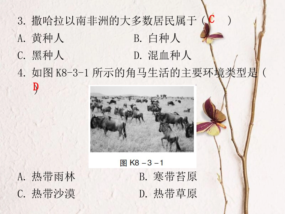 七年级地理下册 第八章 第三节 撒哈拉以南非洲课堂十分钟课件 （新版）新人教版_第3页